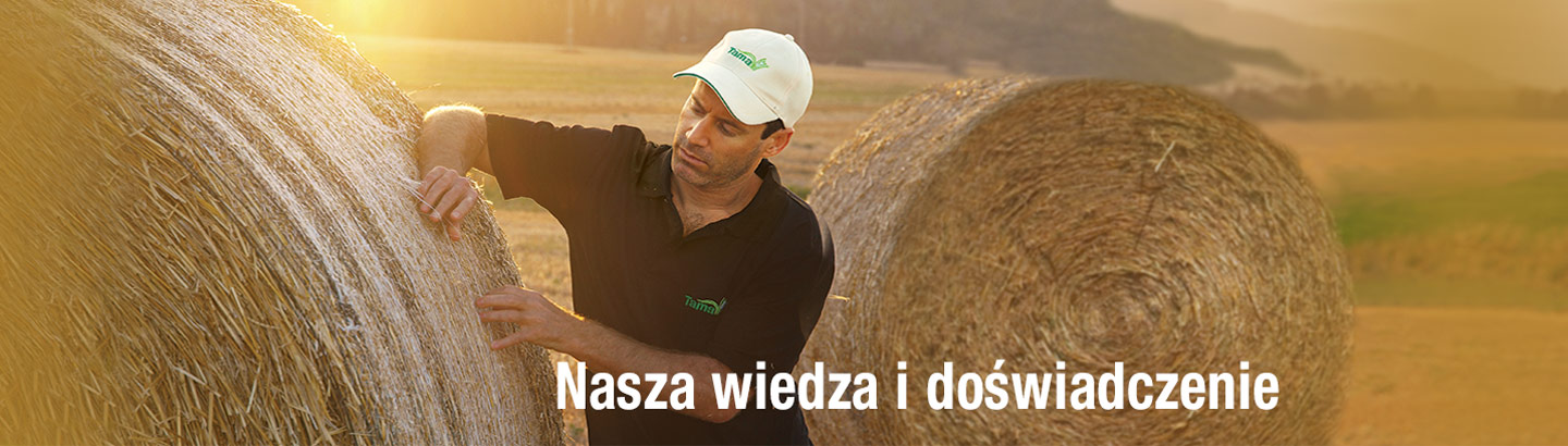 Badania i Rozwój