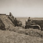 Wrap Hay Bale