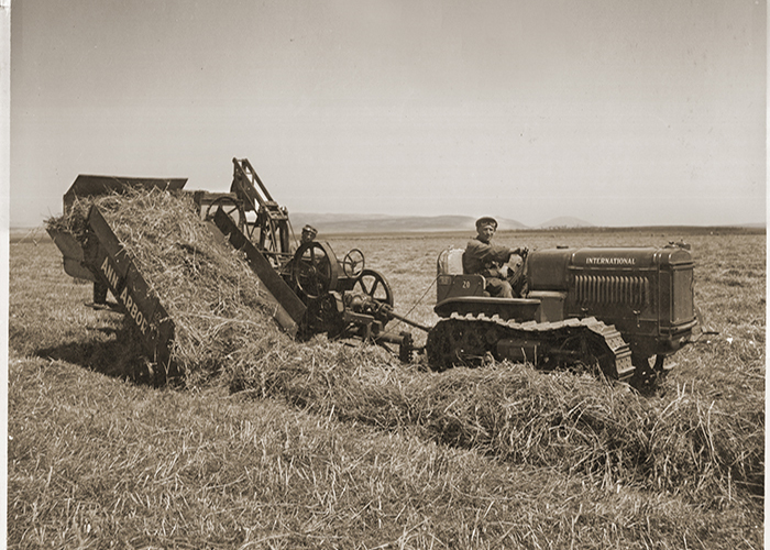 Wrap Hay Bale