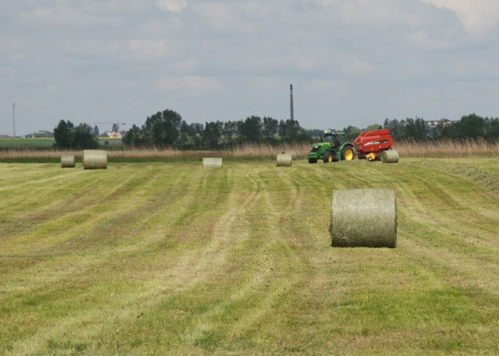 Warsztaty polowe z Grupą Rolnik - Tama Polska-6