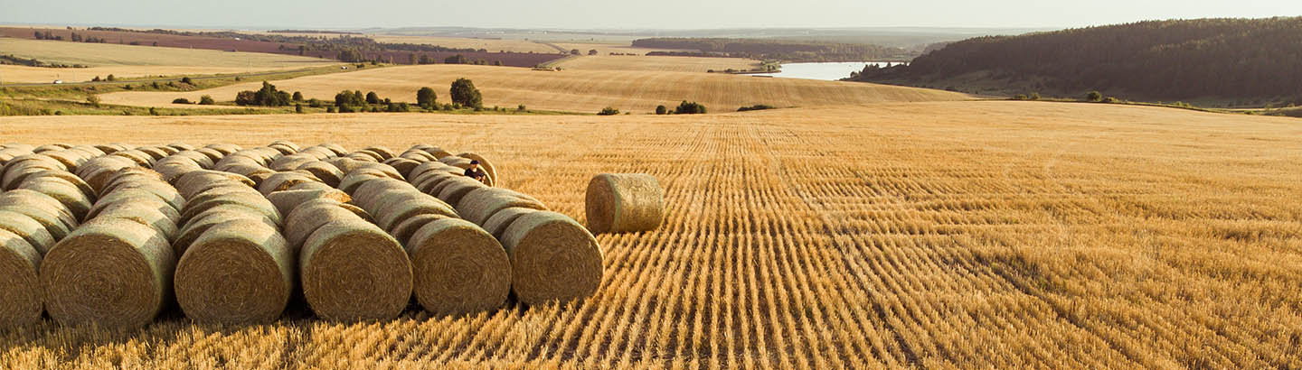 Fendt 2000m | 3000m