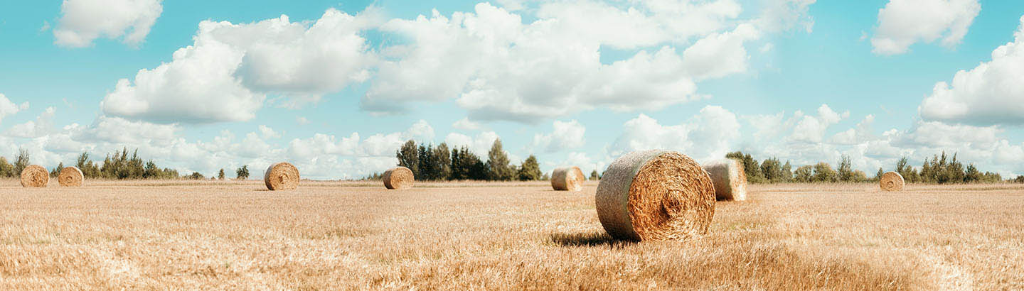 Massey Ferguson 2000m | 3000m