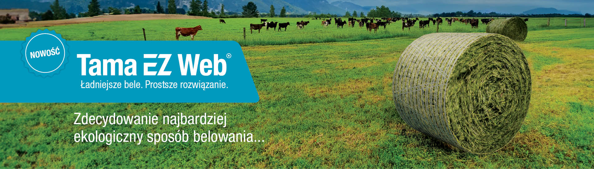 EZ Web Banner