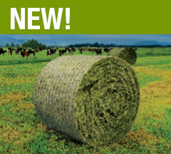 Bale wrapped with EZ-Web